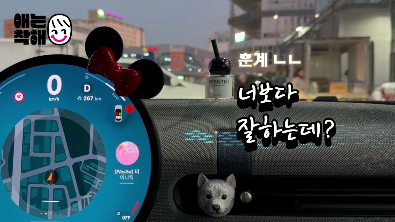 2025년의 마지막 날 밥짓는 개집사 얘도 애는착해