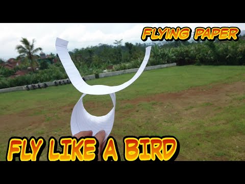 viral!!-membuat-pesawat-kertas-terbang-seperti-burung-berikut-cara-membuatnya-||-origami