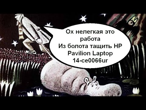 Тестер ддр4 от Тимура в действии! Ремонт ноутбука HP Pavilion Laptop 14-ce0066ur