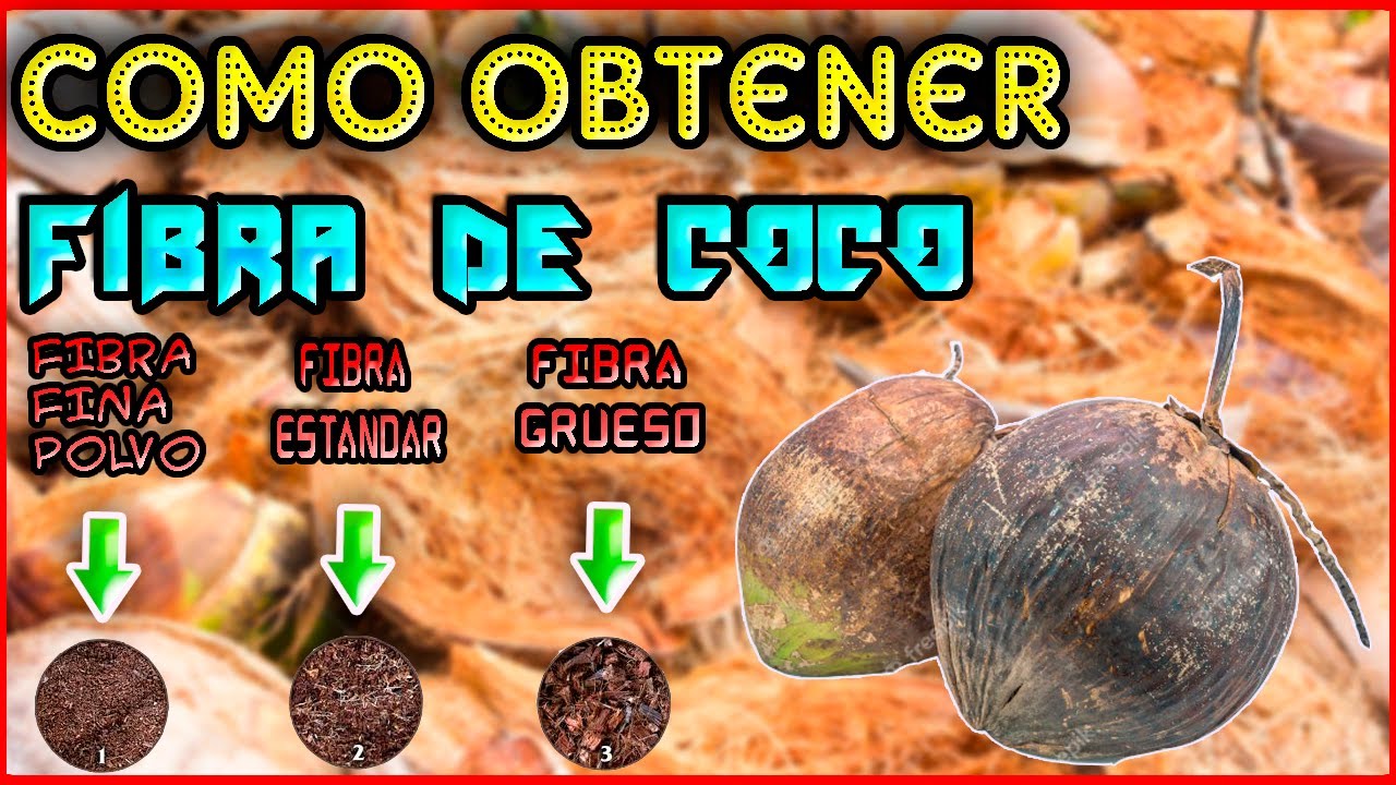 Como OBTENER FIBRA de COCO☑️como PREPARAR FIBRA de COCO-Fibra de COCO EXCELENTE para NUESTRAS PLANTA