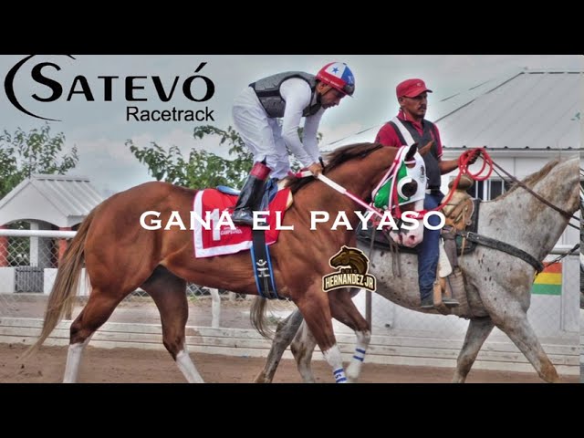 El Payaso 🤡 (C You Soon) Vs. La Liebre/Emperatriz 🐇 (Litely Political).  Satevo Racetrack, CHIH. - YouTube