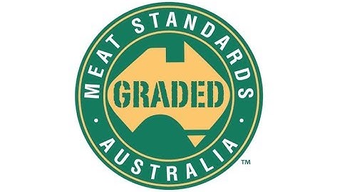 MyMSA Series FAQ: The MSA Graded Symbol
