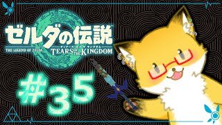 #35【ゼルダの伝説　ティアーズ オブ ザ キングダム】ストーリー進めたりする！【ちゅうけんぽちこう】