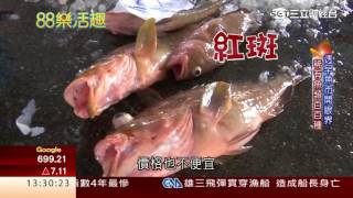 88樂活趣：巨無霸海鮮餐 海鮮主廚現場料理｜88樂活趣｜三立財經台CH88