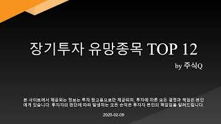 2025 02 09 장기투자 유망종목 TOP 12