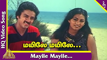 Kadal Meengal Tamil Movie Songs | Mayile Mayile Video Song | Ilayaraja | Pyramid Music