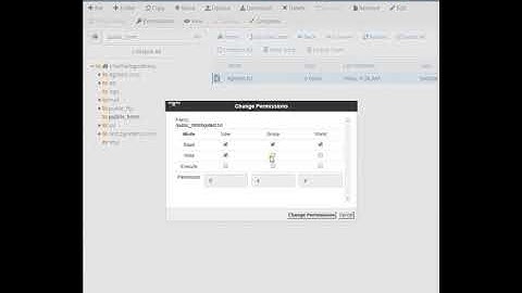 cPanel - Modifying file permissions