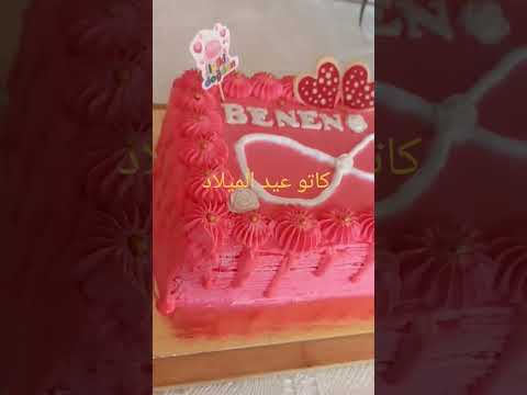 كاتو عيد الميلاد