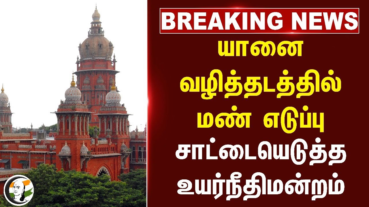 #BREAKING: யானை வழித்தடத்தில் மண் எடுப்பு..  சாட்டையெடுத்த Highcourt