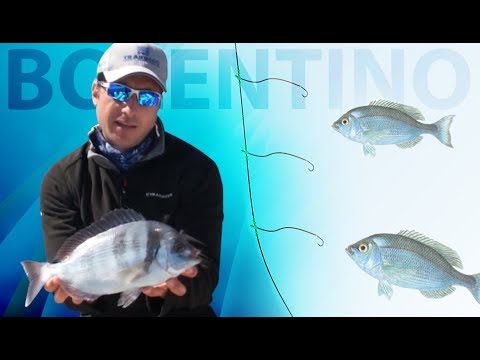 Trabucco TV – Bolentino costiero allo Sparide