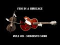 Rule 21  momento mori  fish in a birdcage official