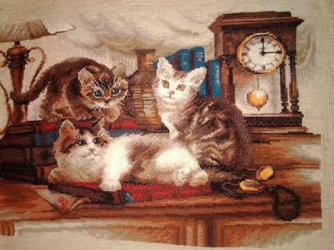 Пушистые друзья 1247 Риолис