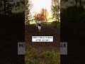Tesla robot learns how to walk down hills 😲🤖             🎥: Instagram / teslamotors