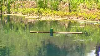 Tannerite On The Water