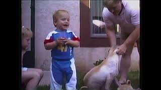 SharPei Litter (1987) at  Howards