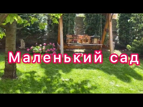 Маленький сад,как я его сделала