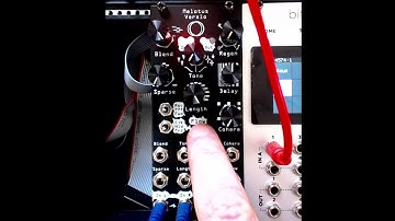 Repetita Versio - Initial buffering procedure