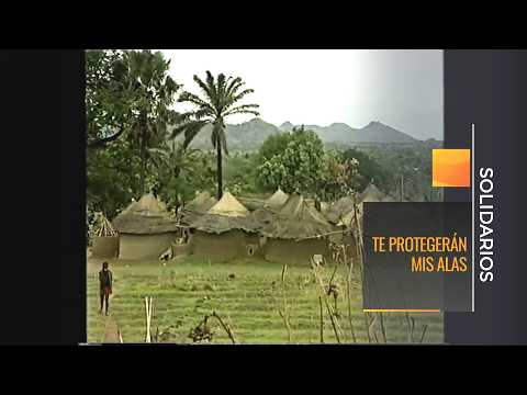 TE PROTEGERÁN MIS ALAS (2025) DIRECTOR ANTONIO CUADRI