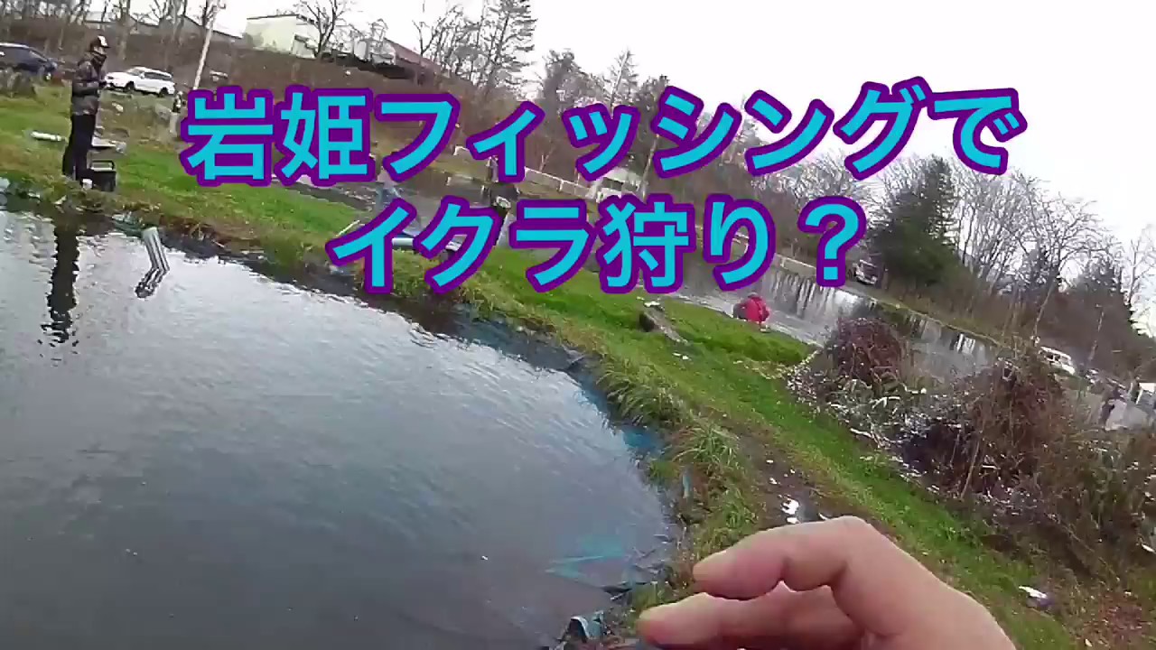 岩姫フィッシングでイクラ狩り Youtube