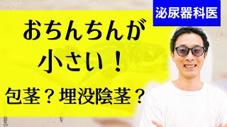 おちんちんが小さい！包茎と埋没陰茎の違いって？【泌尿器科医が解説】