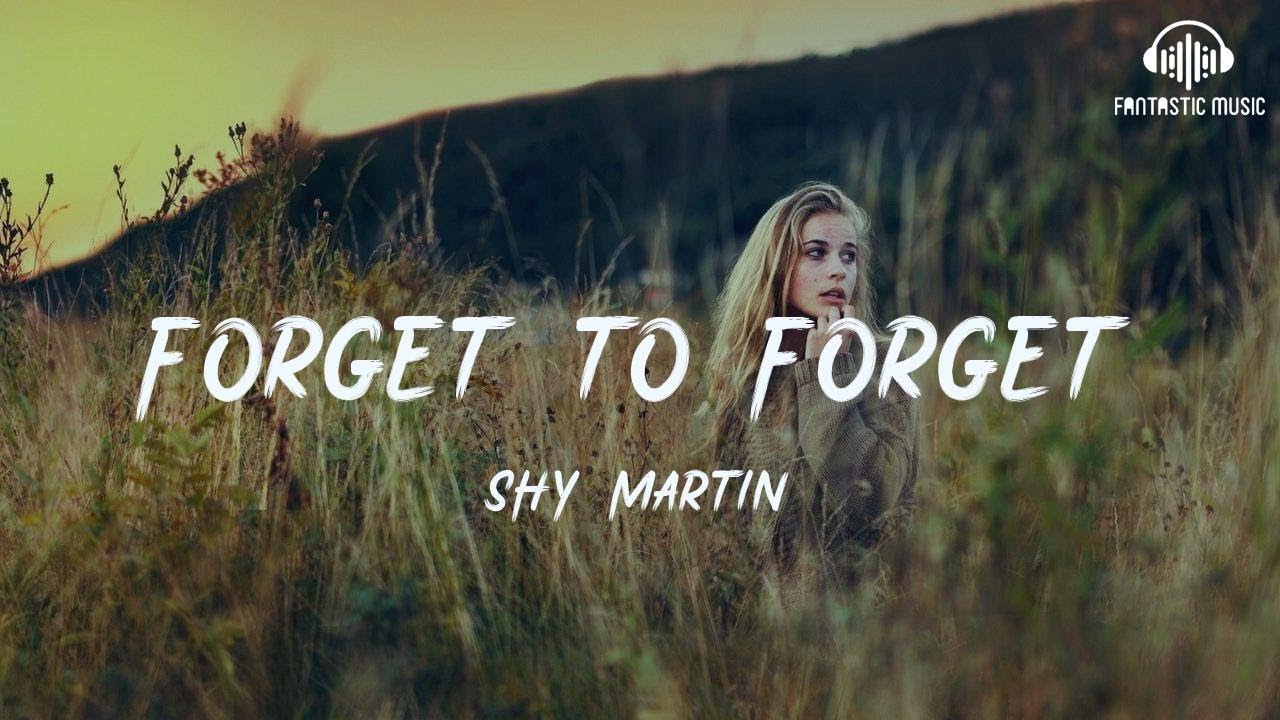 SHY Martin - Forget to Forget [ lyric ]