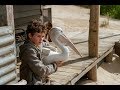 Storm boy  bandeannonce vf