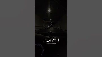 فَاسْتَغْفِرُوهُ ثُمَّ تُوبُوا إِلَيْهِ ۚ إِنَّ رَبِّي قَرِيبٌ مُّجِيبٌ(61)#سورة #هود #القرآن_الكريم