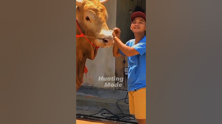 cerita pertemuan Reymond dengan mas Hermawan setia farm #shorts