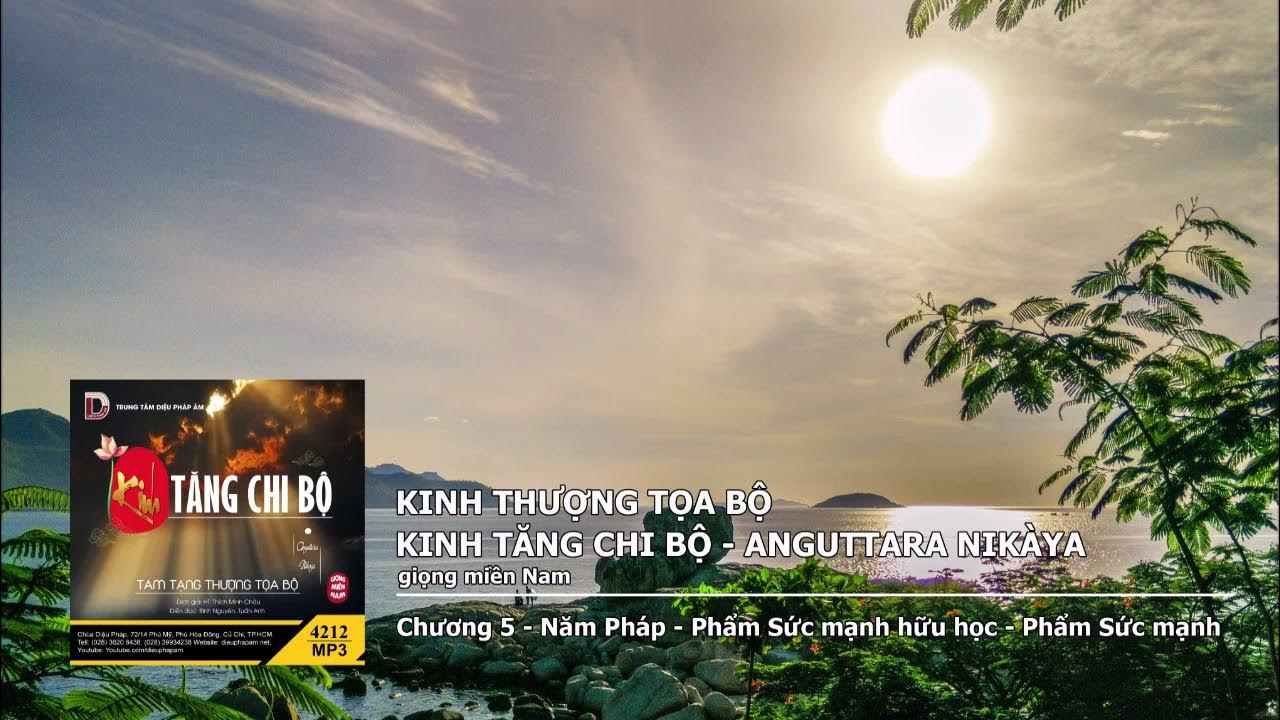 Chương 5 – Năm Pháp – Phẩm Sức mạnh hữu học – Phẩm Sức mạnh giọng miền Nam 