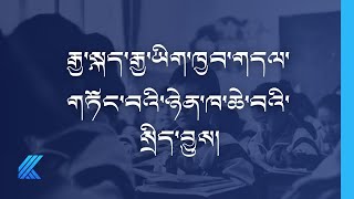 རྒྱ་སྐད་རྒྱ་ཡིག་ཁྱབ་གདལ་གཏོང་བའི་ཉེན་ཁ་ཆེ་བའི་སྲིད་བྱུས།  ༼འདོན་ཐེངས་ ༡༤༥༽