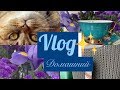 VLOG ДОМАШНИЙ И УЮТНЫЙ⚜️БЕНЯ И МОТЯ⚜️МАМА С КОФЕ И ДОЖДЁМ (Katya Ru)