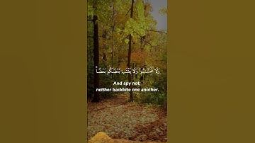 من سورة الحجرات، للشيخ أحمد بن طالب