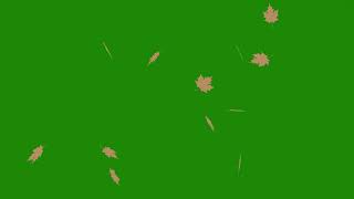 Falling leaves (green screen VFX)