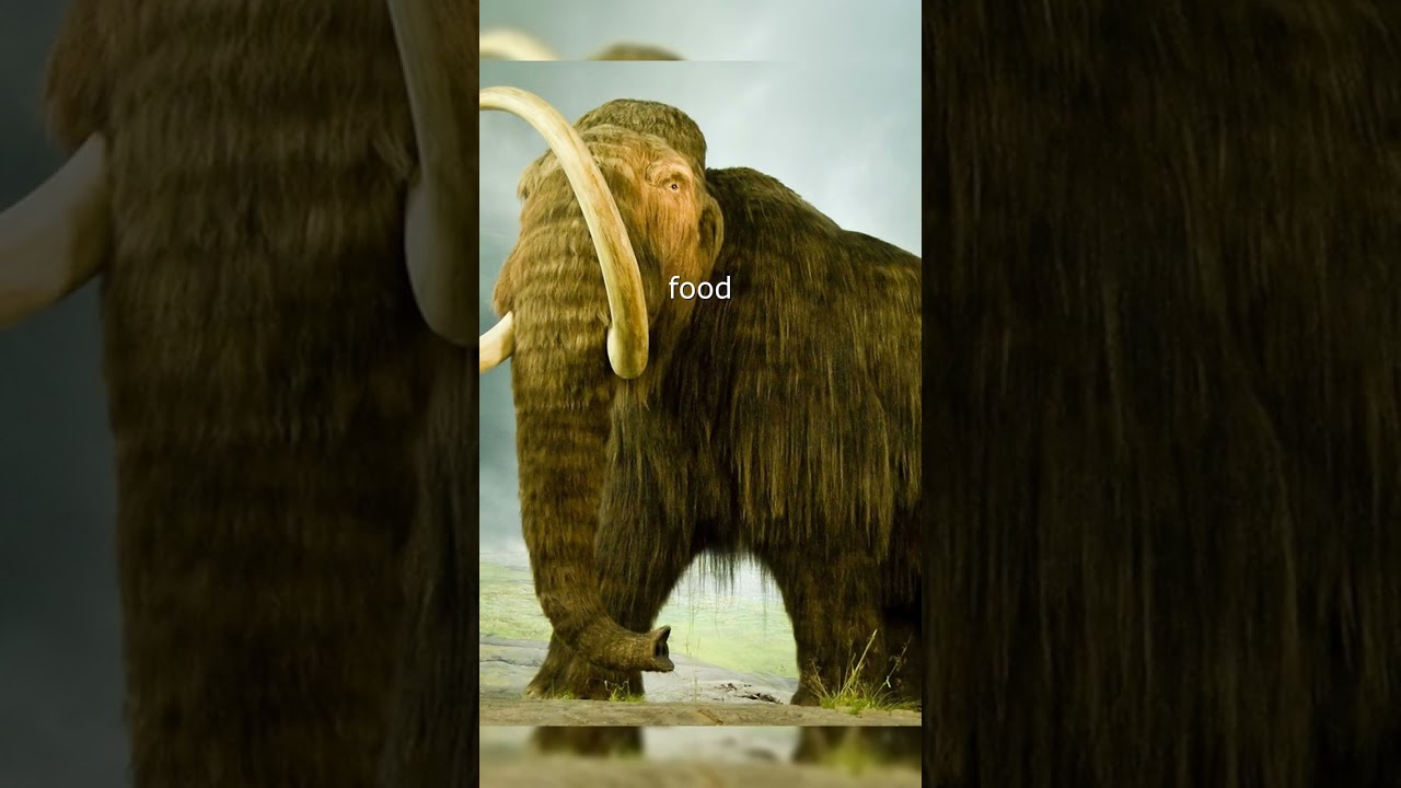 Giant Mammoths: The Curious Creatures of the Ice Age