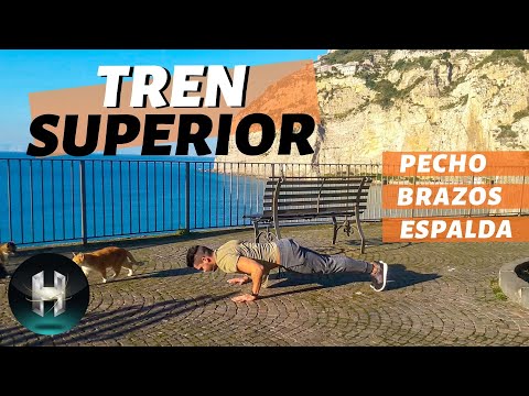 Ejercicios para TREN SUPERIOR ? | Brazos, espalda y pecho definidos!