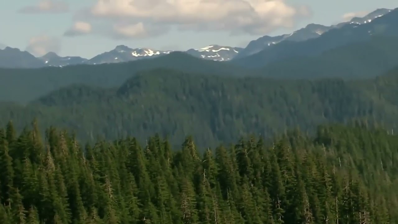 Il Re del cielo | Sky King (sub ITA)