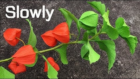 ABC TV | How To Make Physalis Alkekengi Flower From Crepe Paper (Slowly) - Craft Tutorial