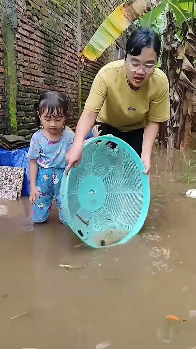 serok ikan kura kura #shorts #funny #fish #comedy #trending #subscribe