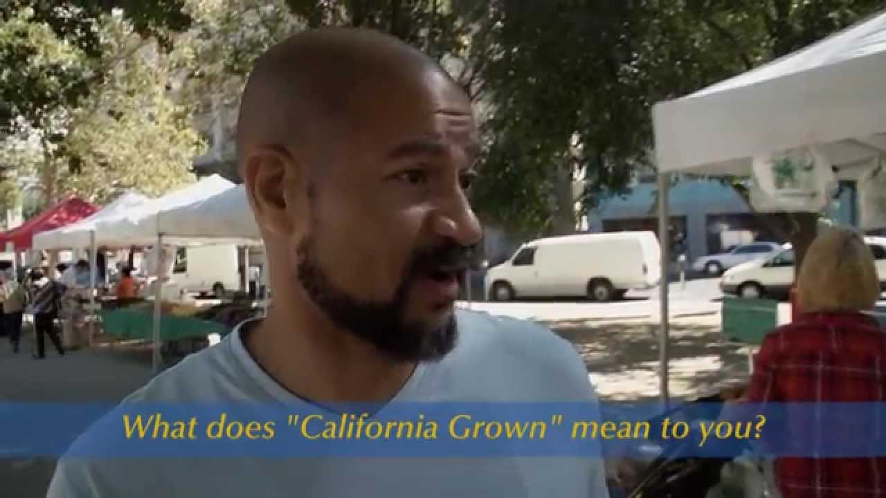what does hotel california mean what does hotel california mean