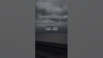 اكتب شئ تؤجر عليه🤍         اللهم صلى على محمد❤️.    القارئ:#رعد_الكردي