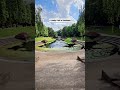 Groningen's Noorderplantsoen #park #garden #relaxation