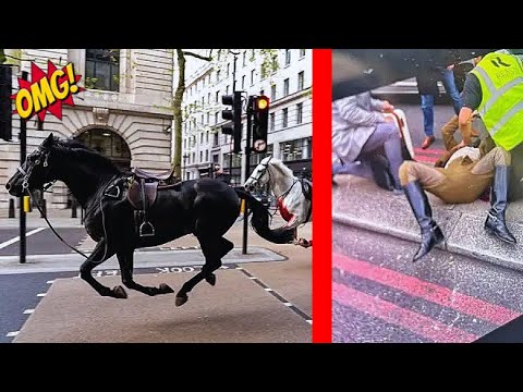RAMPAGING CAVALRY HORSES SMASH INTO CARS, BUSES, AND INNOCENT BYSTANDERS