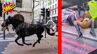 RAMPAGING CAVALRY HORSES SMASH INTO CARS, BUSES, AND INNOCENT BYSTANDERS