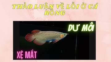 BÀN LUẬN TẬT LỖI Ở CÁ RỒNG