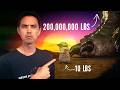 Godzilla vs. Grogu: 200,000,000 lbs vs. The Force | Behind the Lore
