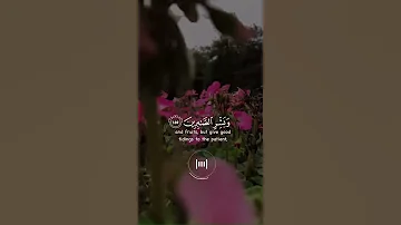 قرآن كريم بصوت ياسر الدوسري حالات واتس اب دينيه سورة البقرة 