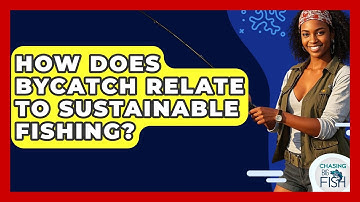 How Does Bycatch Relate To Sustainable Fishing? - Chasing Big Fish