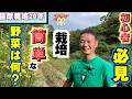 【自然栽培434】栽培簡単な野菜!