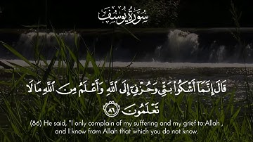 تلاوة تخشع لها القلوب🍂 ﴿ قَالَ إِنَّمَا أَشْكُو بَثِّي وَحُزْنِي إِلَى اللَّهِ .. ﴾