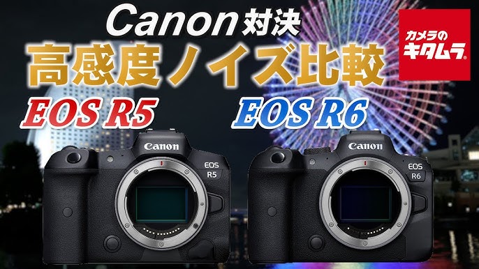 カメラ比較 キヤノン Eos R5 と キヤノン Eos R6で高感度ノイズを比較してみた カメラのキタムラ Canon Youtube